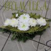 primula 4